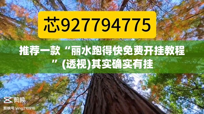 推荐一款“丽水跑得快免费开挂教程”(透视)其实确实有挂