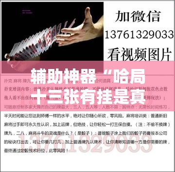 辅助神器“哈局十三张有挂是真是假”详细开挂教程