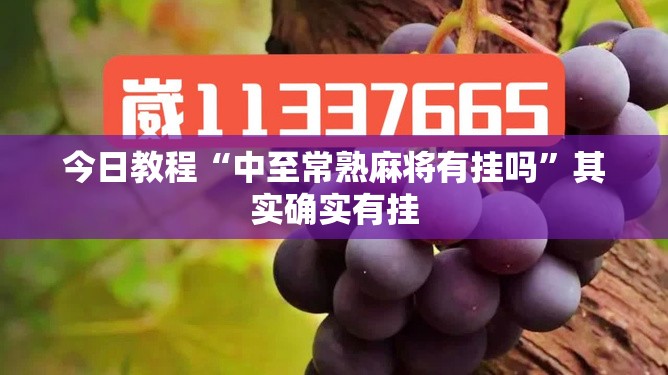 今日教程“中至常熟麻将有挂吗”其实确实有挂