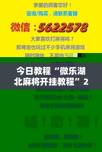 今日教程“微乐湖北麻将开挂教程”2026开挂教程步骤