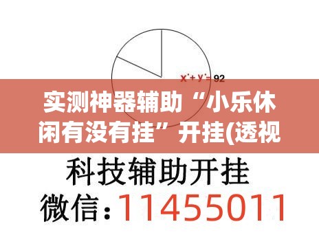 实测神器辅助“小乐休闲有没有挂”开挂(透视)辅助教程
