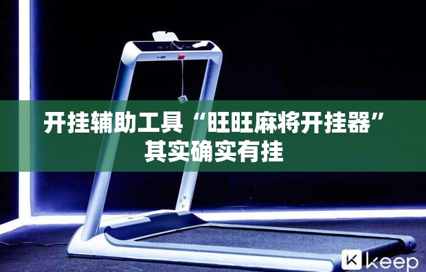 开挂辅助工具“旺旺麻将开挂器”其实确实有挂