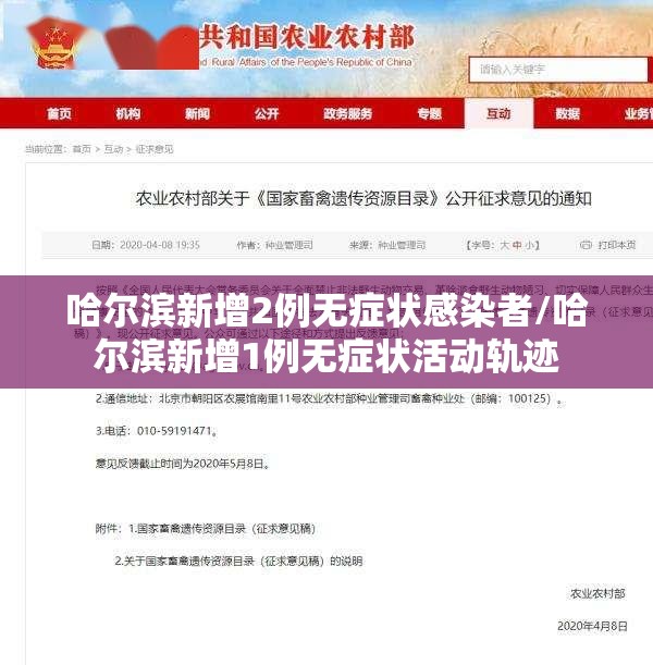 哈尔滨新增2例无症状感染者/哈尔滨新增1例无症状活动轨迹
