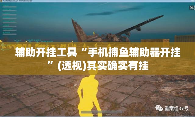 辅助开挂工具“手机捕鱼辅助器开挂”(透视)其实确实有挂
