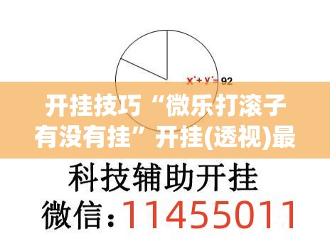 开挂技巧“微乐打滚子有没有挂”开挂(透视)最新辅助详细