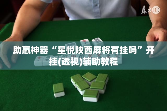 助赢神器“星悦陕西麻将有挂吗	”开挂(透视)辅助教程