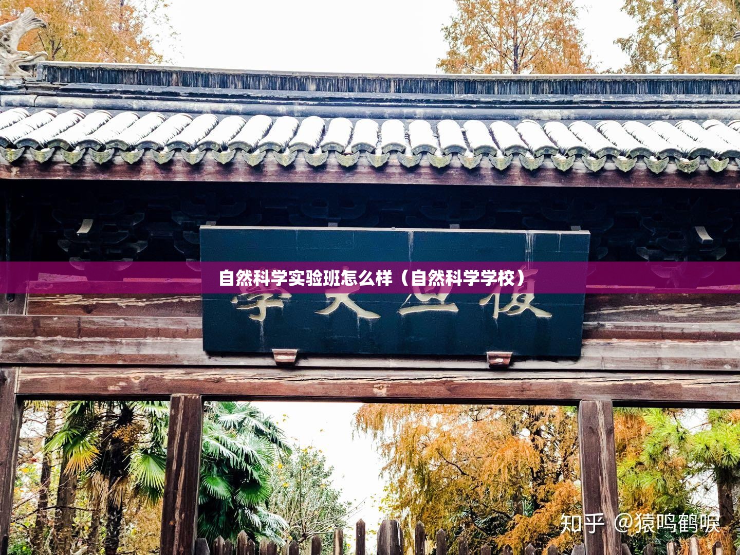 自然科学实验班怎么样（自然科学学校）