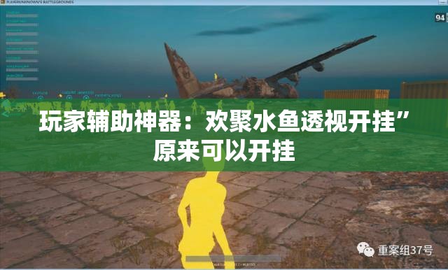 玩家辅助神器：欢聚水鱼透视开挂”原来可以开挂