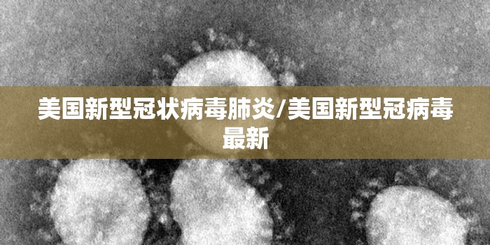 美国新型冠状病毒肺炎/美国新型冠病毒最新