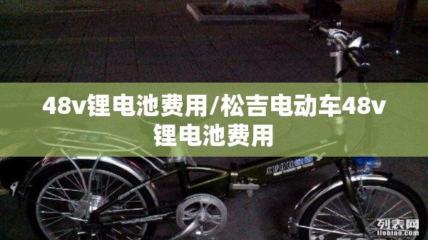 48v锂电池费用/松吉电动车48v锂电池费用