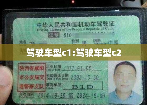 驾驶车型c1:驾驶车型c2 驾驶车型c1:驾驶车型c2