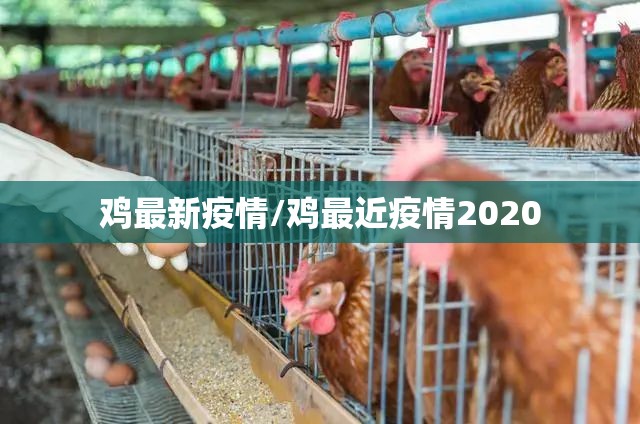 鸡最新疫情/鸡最近疫情2020