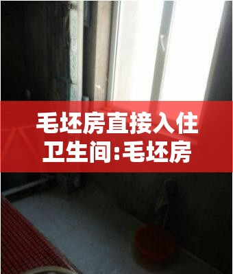 毛坯房直接入住卫生间:毛坯房入住卫生间怎么弄