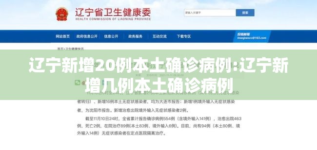 辽宁新增20例本土确诊病例:辽宁新增几例本土确诊病例