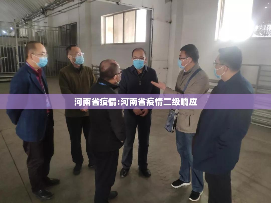 河南省疫情:河南省疫情二级响应