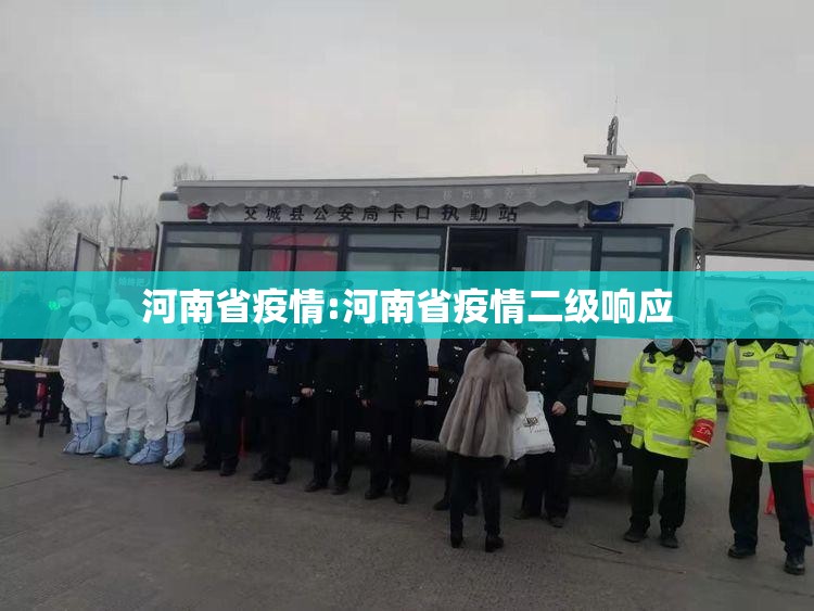 河南省疫情:河南省疫情二级响应