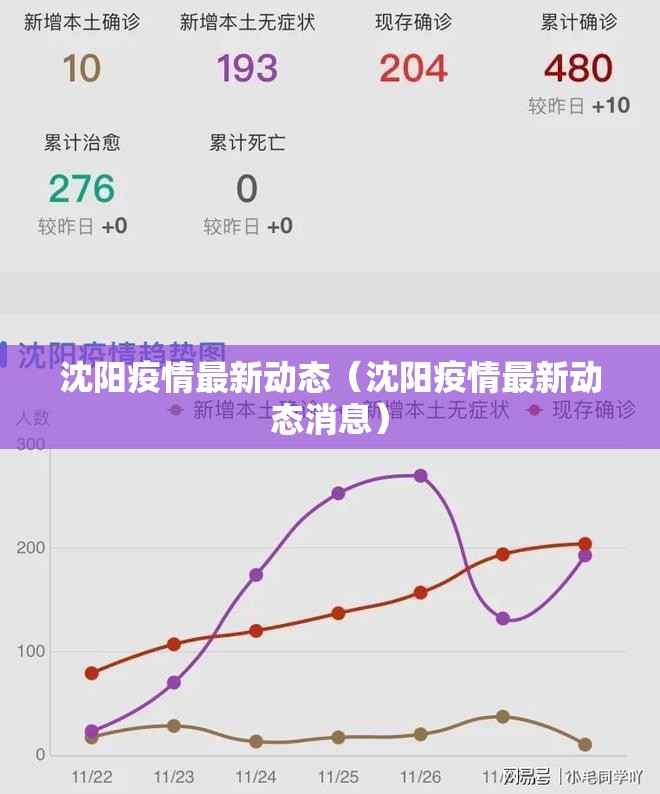 沈阳疫情最新动态（沈阳疫情最新动态消息）
