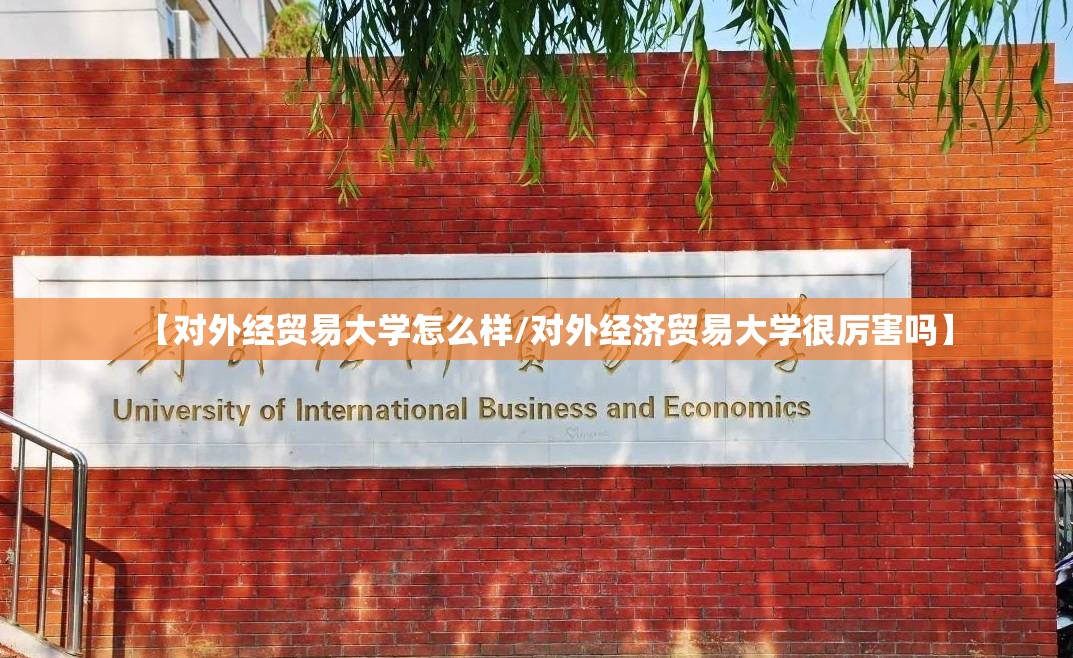 【对外经贸易大学怎么样/对外经济贸易大学很厉害吗】 【对外经贸易大学怎么样/对外经济贸易大学很厉害吗】
