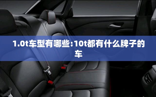 1.0t车型有哪些:10t都有什么牌子的车