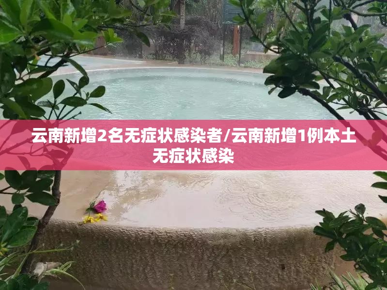 云南新增2名无症状感染者/云南新增1例本土无症状感染
