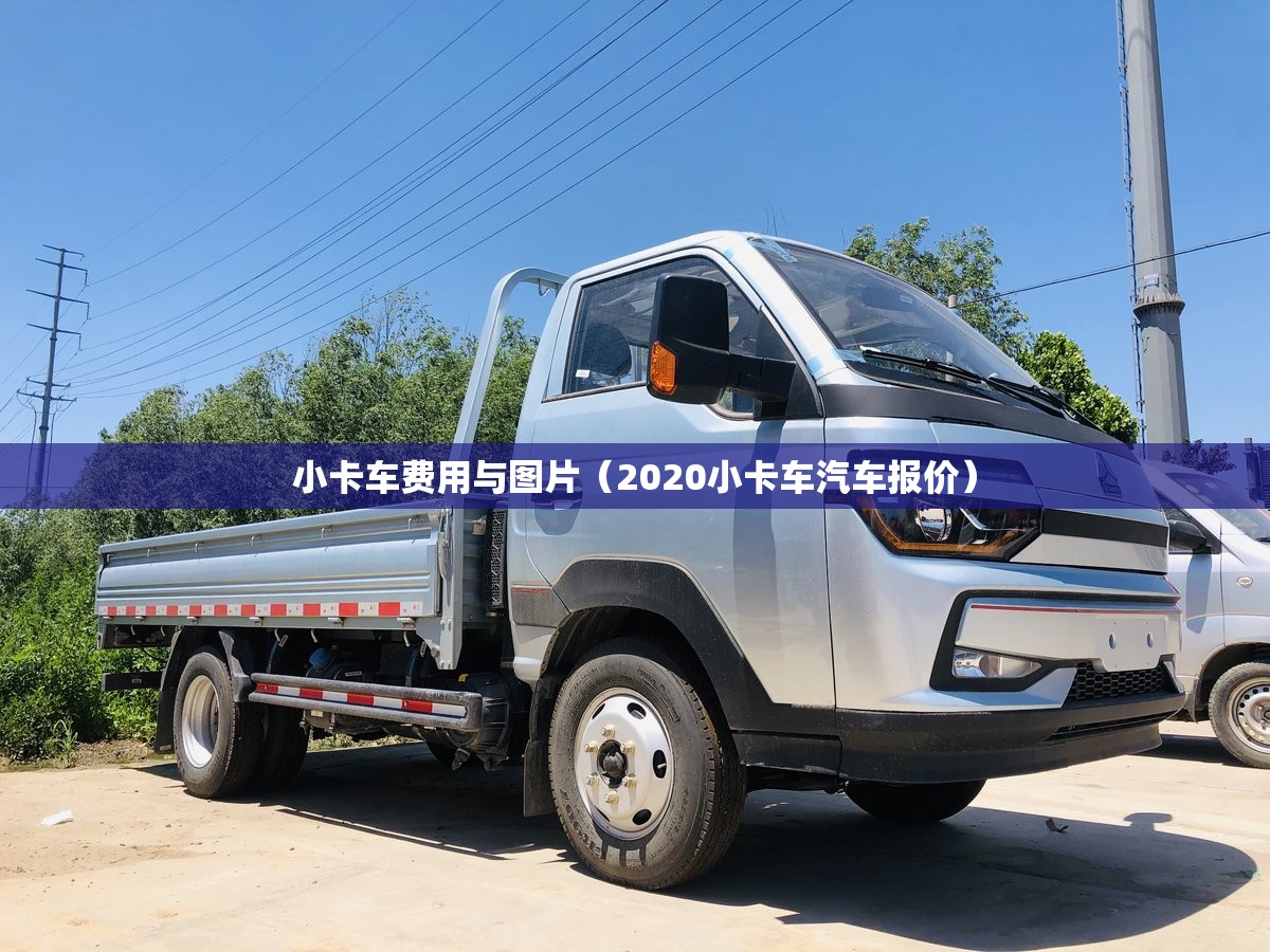 小卡车费用与图片（2020小卡车汽车报价）