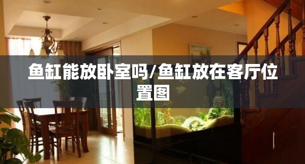 鱼缸能放卧室吗/鱼缸放在客厅位置图