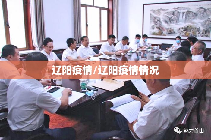 辽阳疫情/辽阳疫情情况