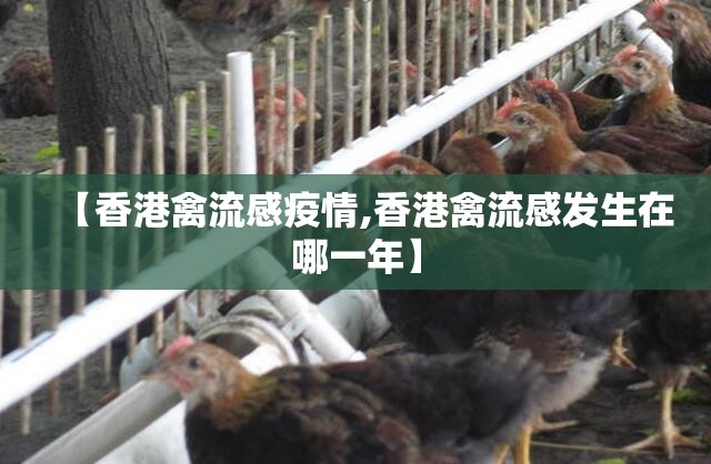 【香港禽流感疫情,香港禽流感发生在哪一年】 【香港禽流感疫情,香港禽流感发生在哪一年】