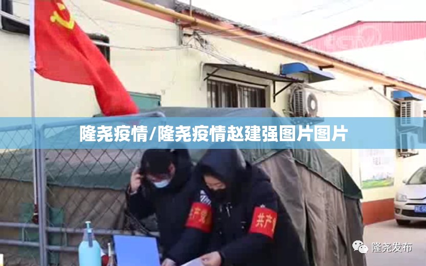 隆尧疫情/隆尧疫情赵建强图片图片