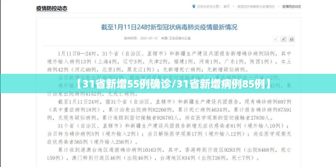 【31省新增55例确诊/31省新增病例85例】