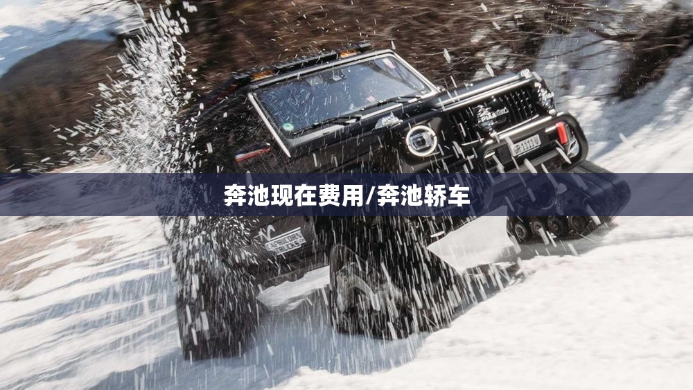 奔池现在费用/奔池轿车