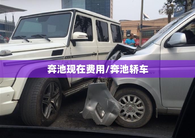 奔池现在费用/奔池轿车