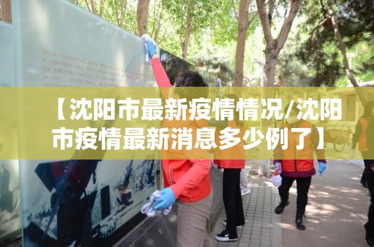 【沈阳市最新疫情情况/沈阳市疫情最新消息多少例了】