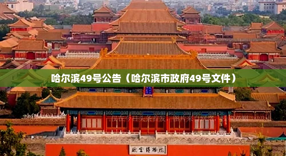哈尔滨49号公告(哈尔滨市政府49号文件) 哈尔滨49号公告(哈尔滨市政府49号文件)