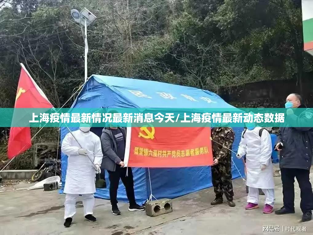 上海疫情最新情况最新消息今天/上海疫情最新动态数据
