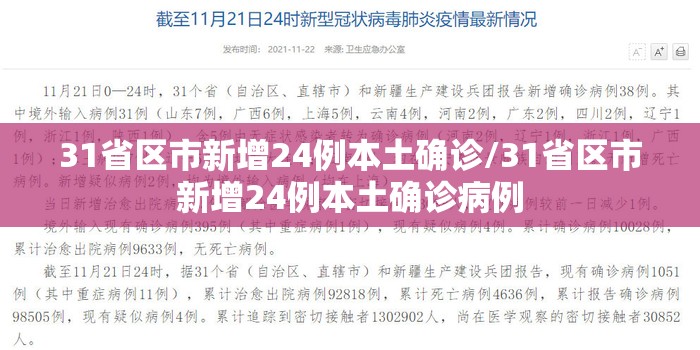 31省区市新增24例本土确诊/31省区市新增24例本土确诊病例 31省区市新增24例本土确诊/31省区市新增24例本土确诊病例