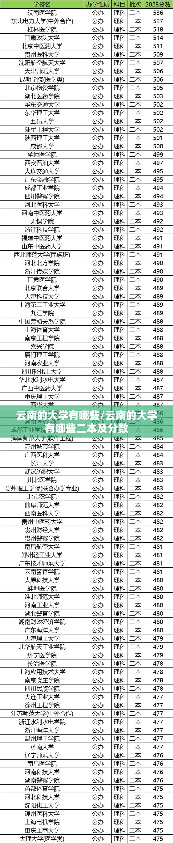 云南的大学有哪些/云南的大学有哪些二本及分数