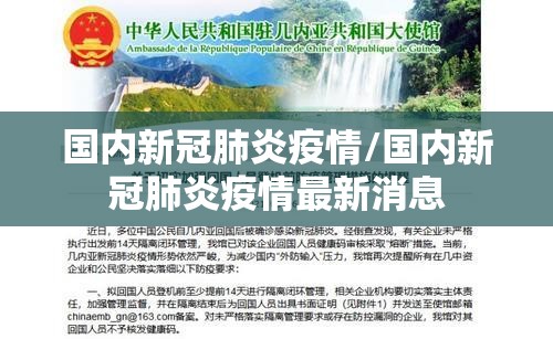 国内新冠肺炎疫情/国内新冠肺炎疫情最新消息