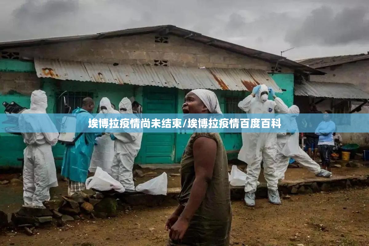 埃博拉疫情尚未结束/埃博拉疫情百度百科