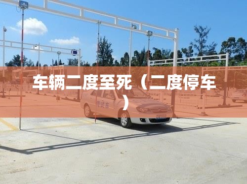 车辆二度至死(二度停车) 车辆二度至死(二度停车)