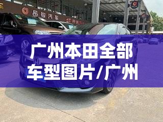 广州本田全部车型图片/广州本田所有轿车图片
