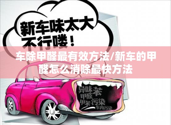 车除甲醛最有效方法/新车的甲醛怎么消除最快方法