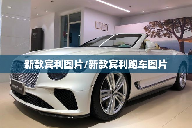 新款宾利图片/新款宾利跑车图片 新款宾利图片/新款宾利跑车图片