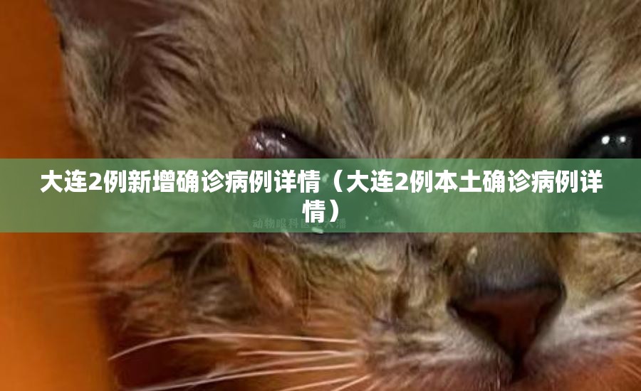 大连2例新增确诊病例详情(大连2例本土确诊病例详情) 大连2例新增确诊病例详情(大连2例本土确诊病例详情)