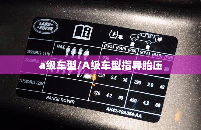 a级车型/A级车型指导胎压