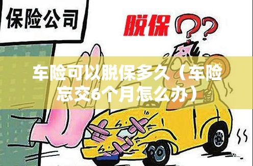 车险可以脱保多久（车险忘交6个月怎么办）