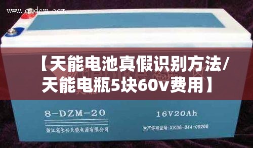 【天能电池真假识别方法/天能电瓶5块60v费用】
