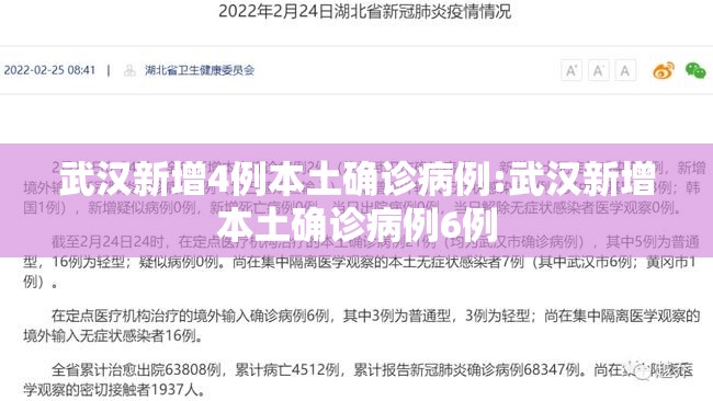 武汉新增4例本土确诊病例:武汉新增本土确诊病例6例