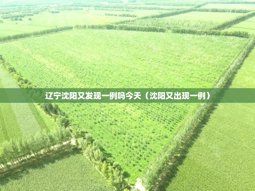 辽宁沈阳又发现一例吗今天（沈阳又出现一例）