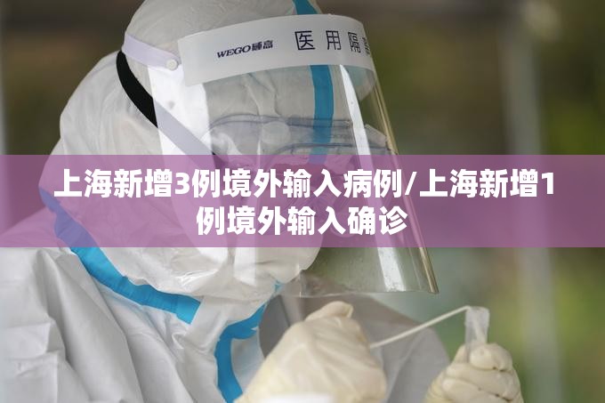 上海新增3例境外输入病例/上海新增1例境外输入确诊